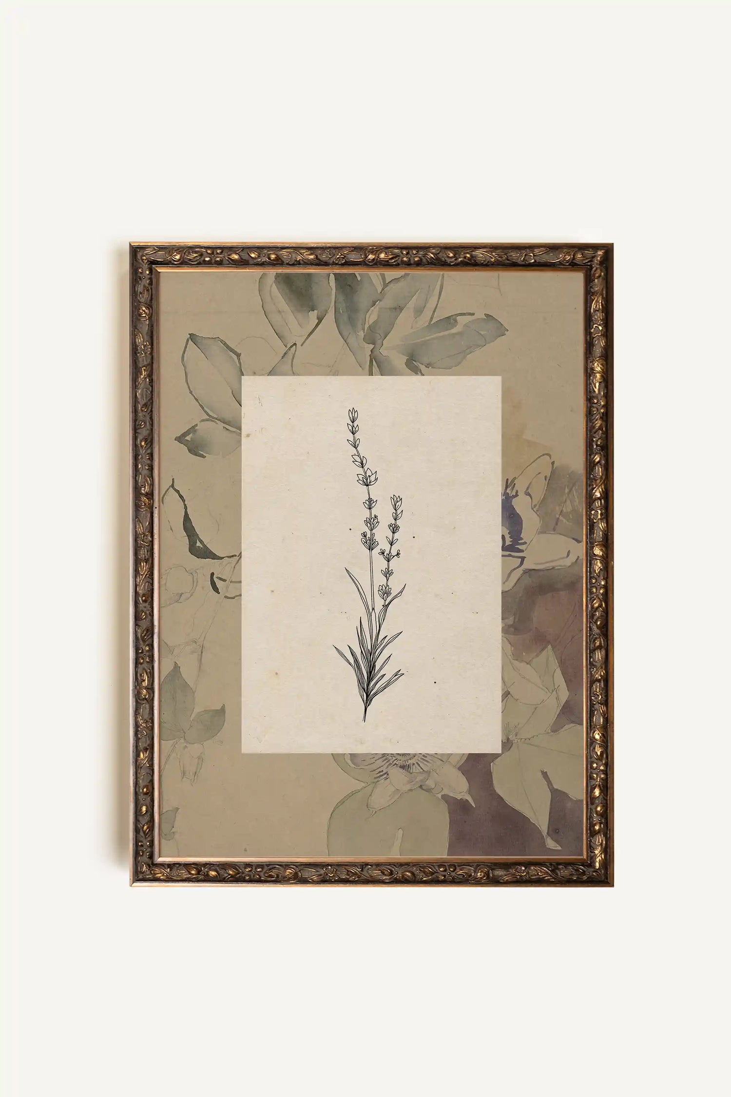 SACRED FLORA, Rigid Canvas Artwork, Framed in Vintage Bronze