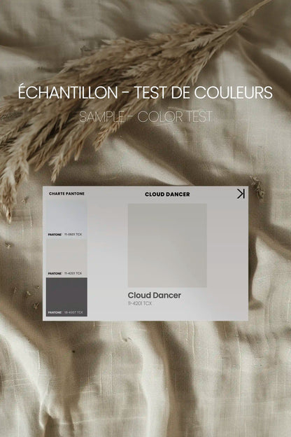CLOUD DANCER, Work on stretched canvas, framed White