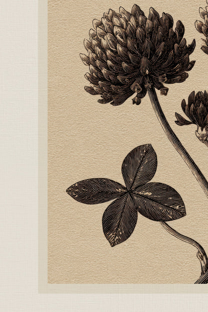 FIELD RELIC, Oeuvre sur toile étirée, encadré Vintage Bronze