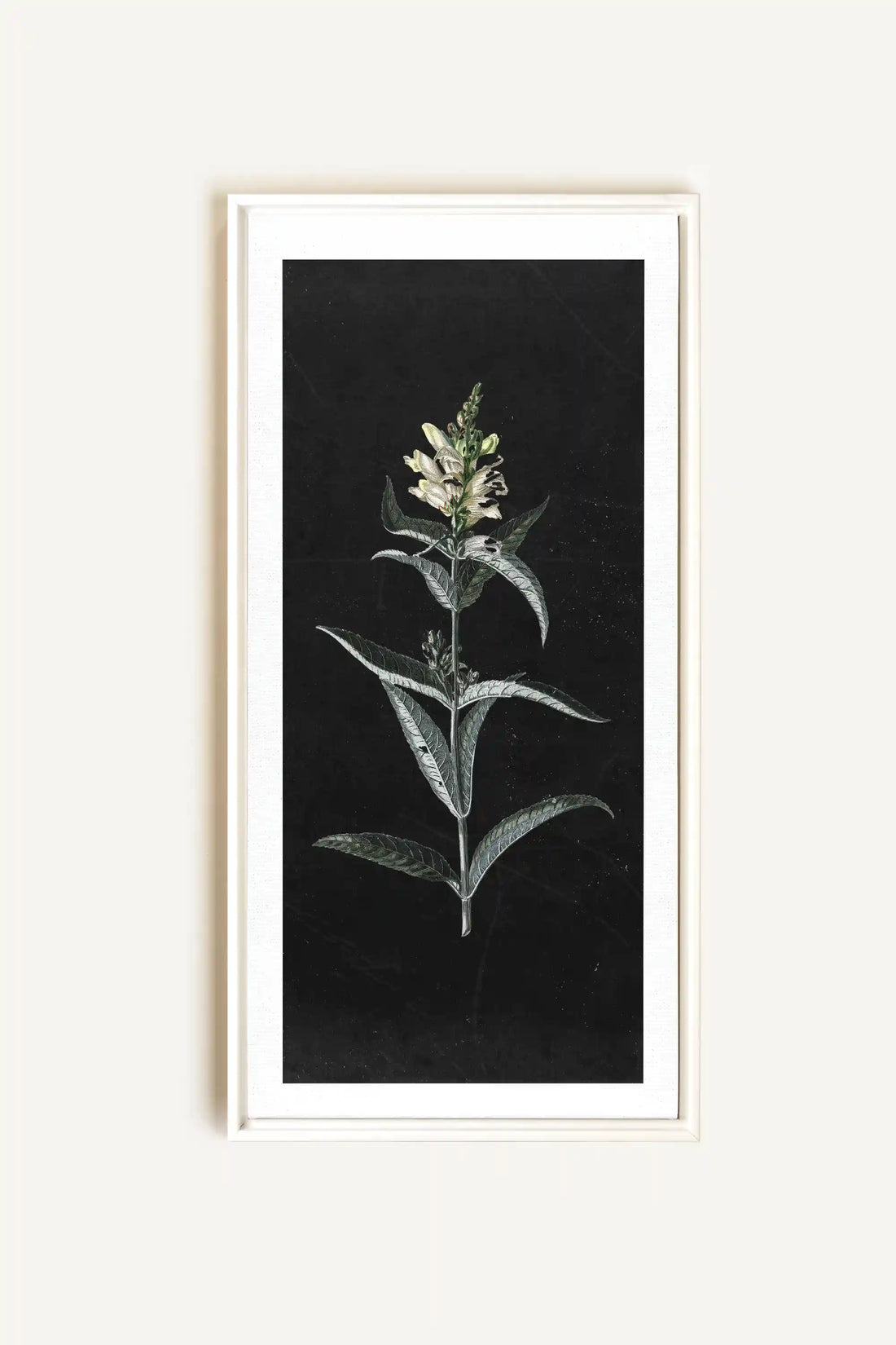 GUARDIAN BLOOM, Oeuvre sur toile étirée, encadré Blanc