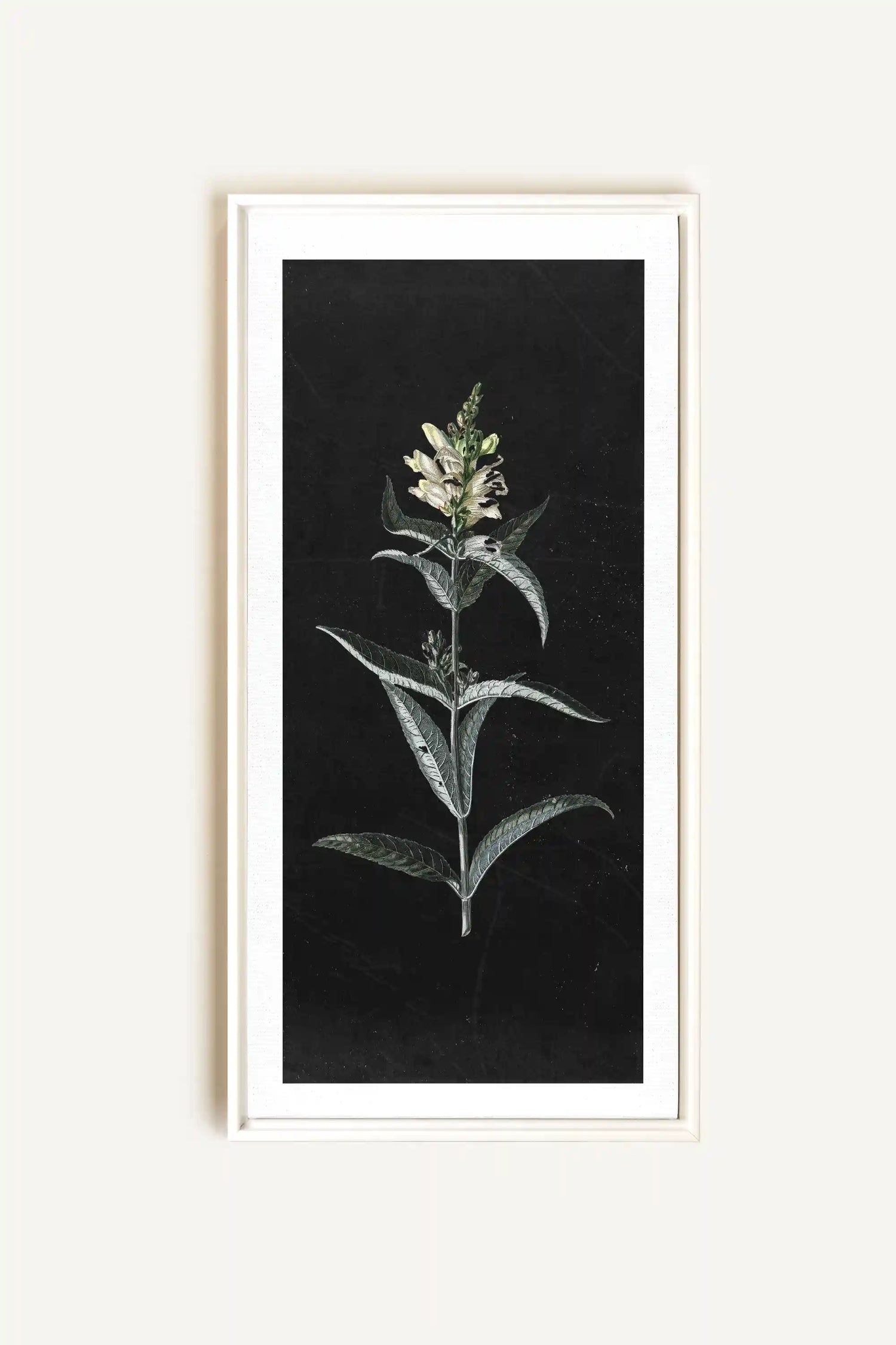 GUARDIAN BLOOM, Oeuvre sur toile étirée, encadré Blanc
