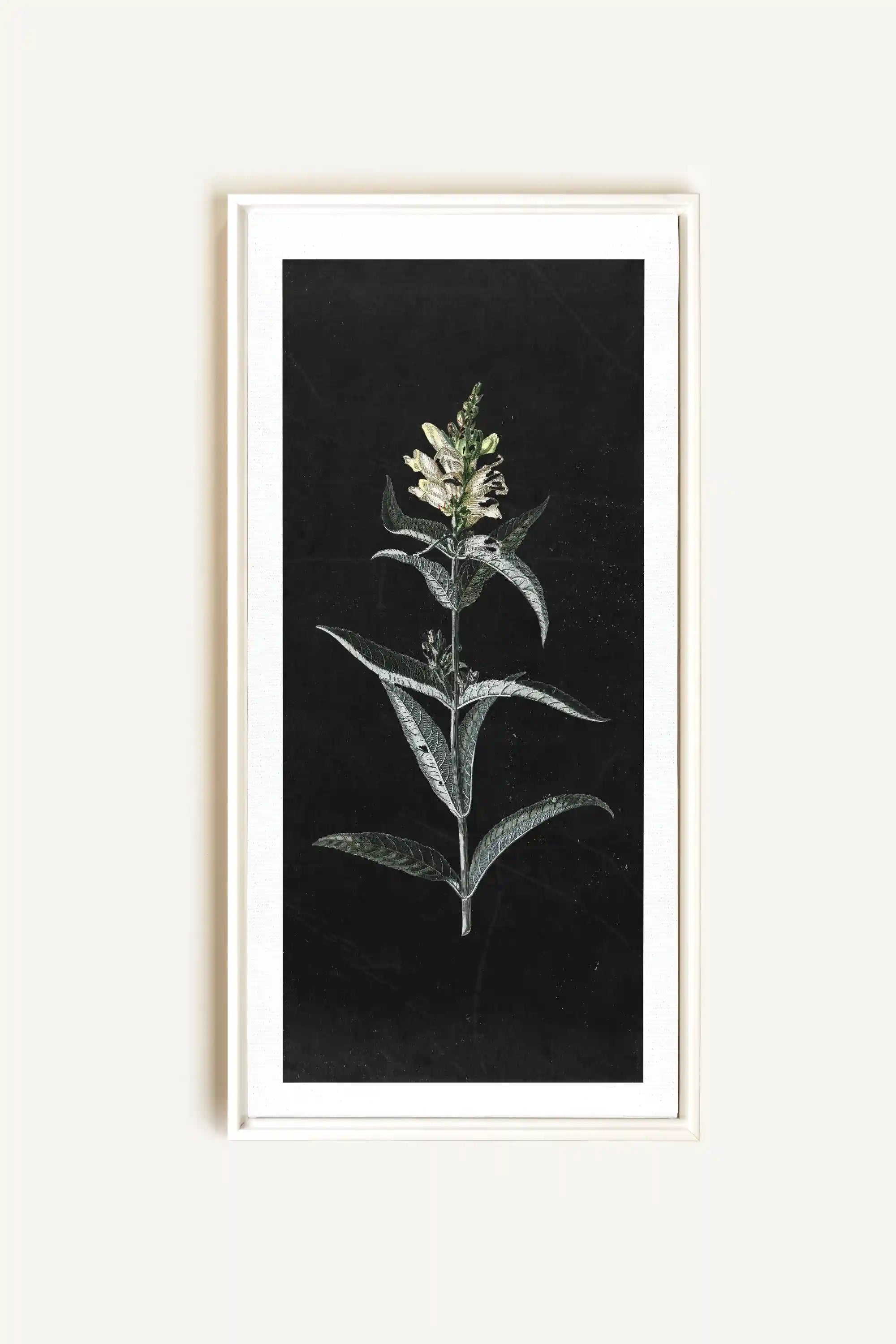 GUARDIAN BLOOM, Oeuvre sur toile étirée, encadré Blanc