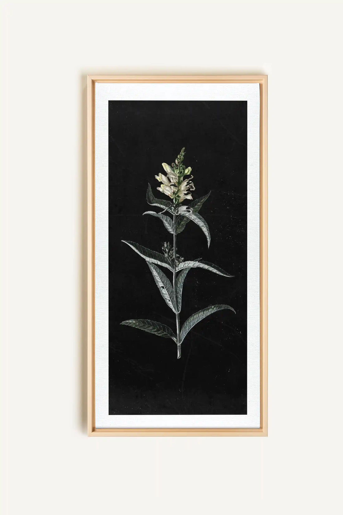 GUARDIAN BLOOM, Work on stretched canvas, framed Naturel Clair