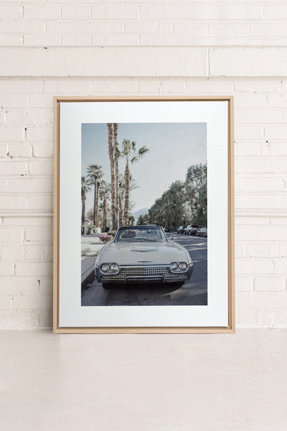 CLASSIC PALM RIDE, Work on stretched canvas