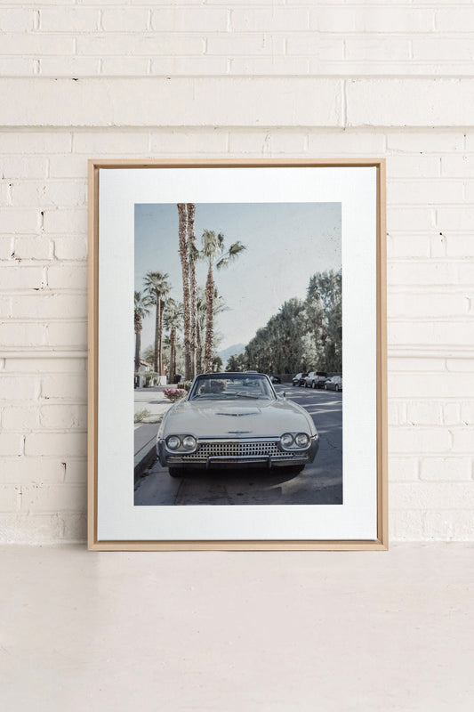 CLASSIC PALM RIDE, Work on stretched canvas