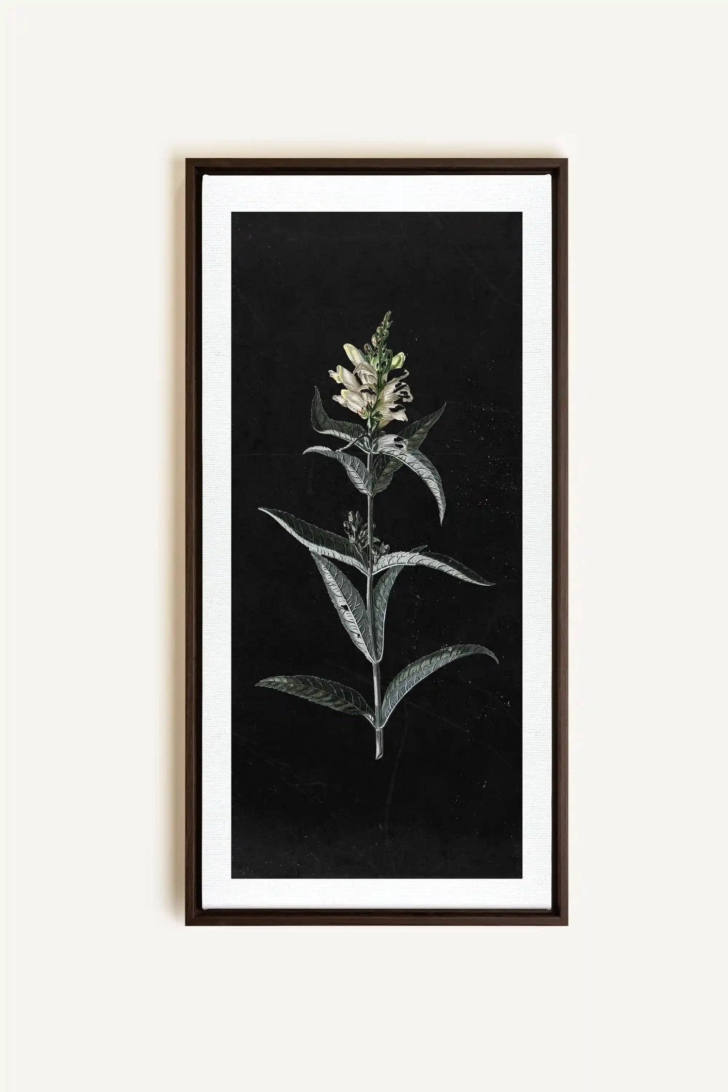 GUARDIAN BLOOM, Work on stretched canvas, framed Walnut Brown