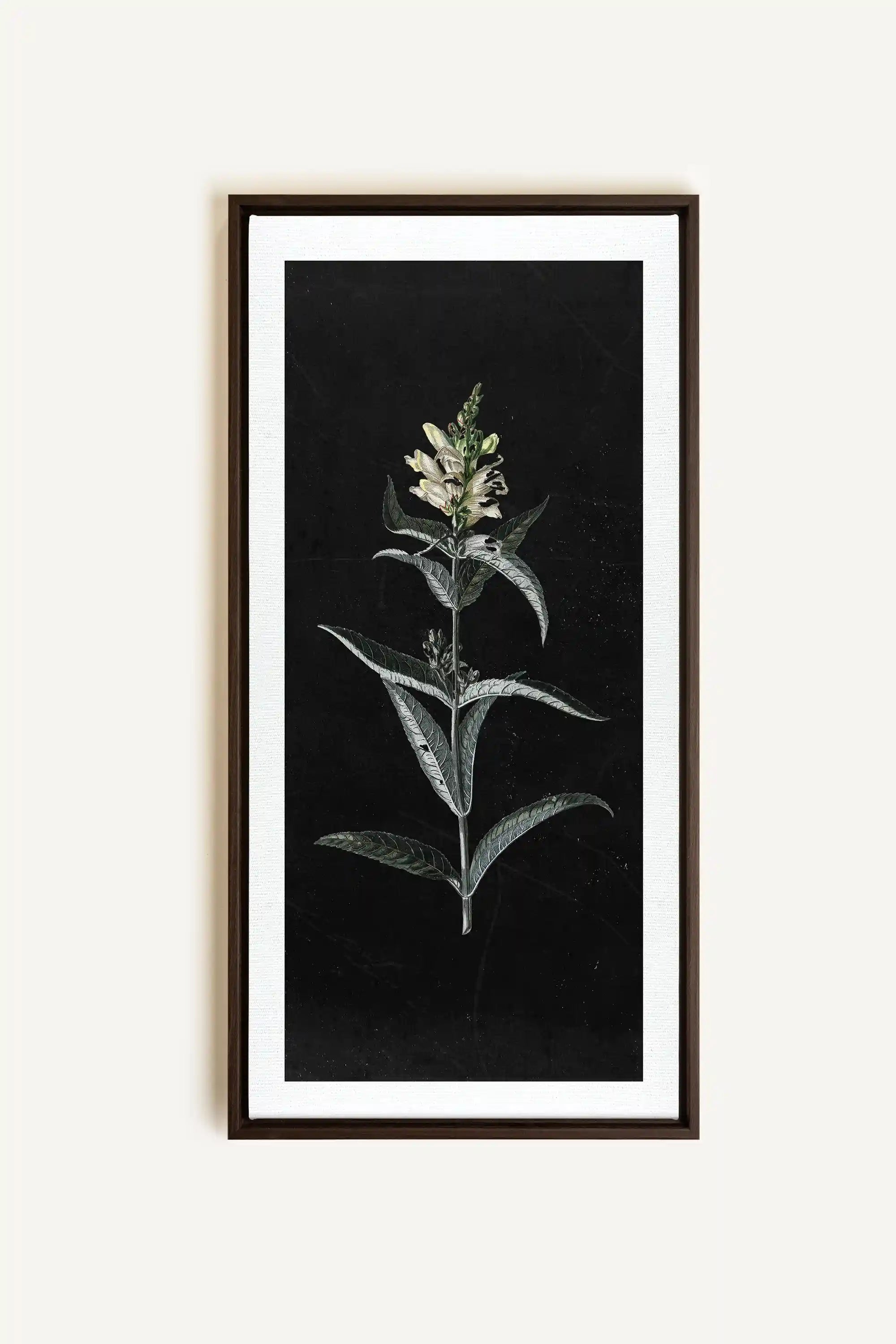 GUARDIAN BLOOM, Work on stretched canvas, framed Walnut Brown