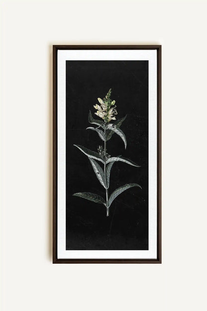 GUARDIAN BLOOM, Work on stretched canvas, framed Walnut Brown