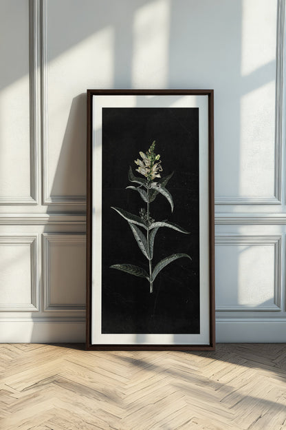 GUARDIAN BLOOM, Work on stretched canvas, framed Walnut Brown