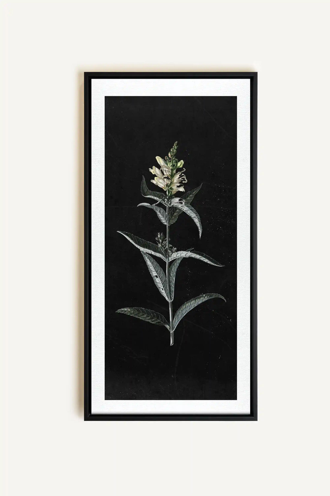 GUARDIAN BLOOM, Oeuvre sur toile étirée, encadré Noir