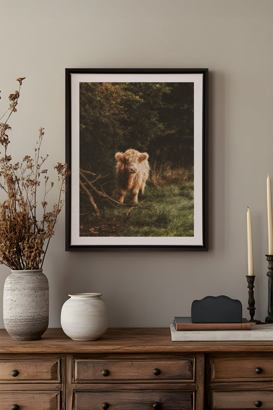 VELOURS DES BOIS, Oeuvre sur toile étiré