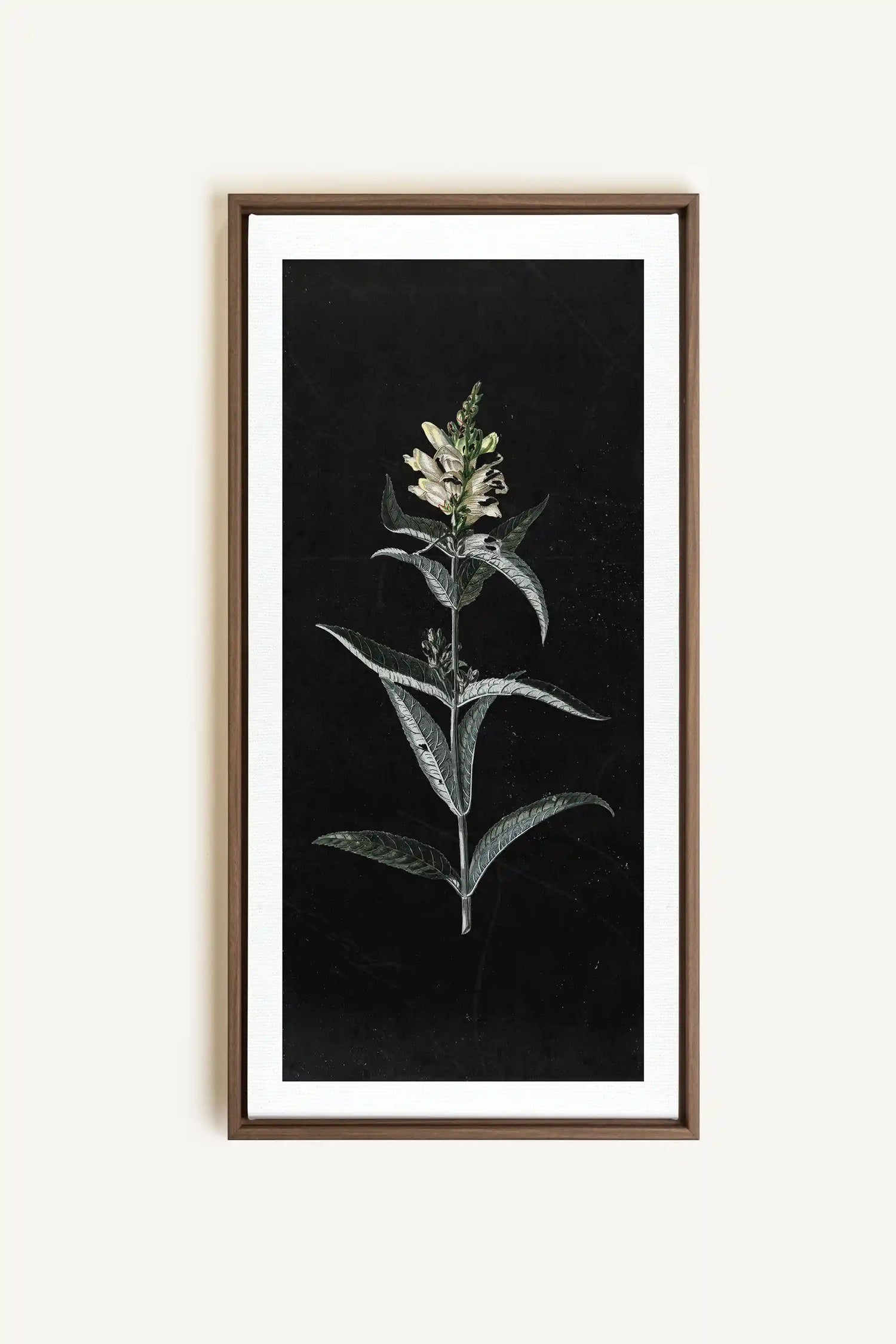 GUARDIAN BLOOM, Work on stretched canvas, framed Oak Brown
