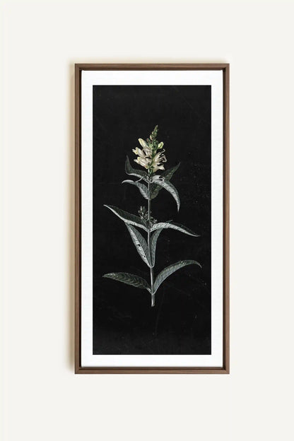 GUARDIAN BLOOM, Work on stretched canvas, framed Oak Brown