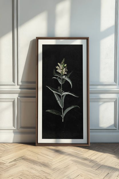GUARDIAN BLOOM, Work on stretched canvas, framed Oak Brown