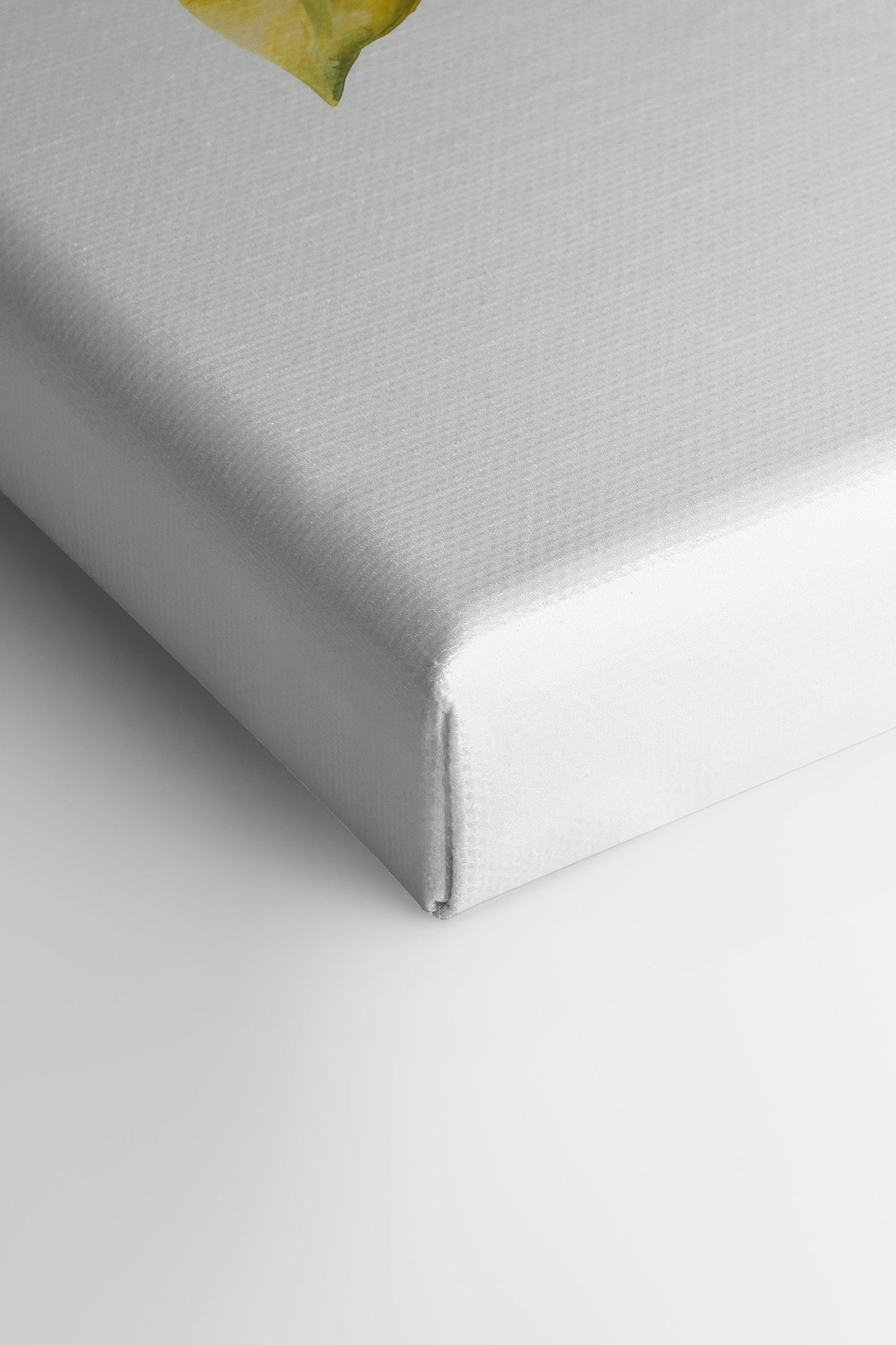 BRANCH OF ZEST, Work on stretched canvas