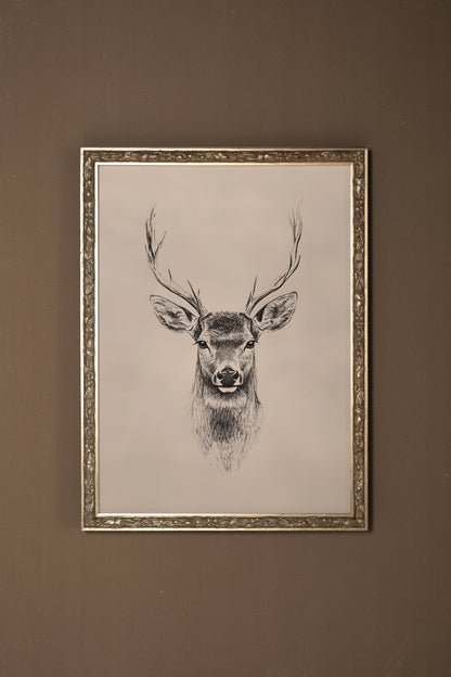 WILD SKETCH, VINTAGE SILVER FRAME
