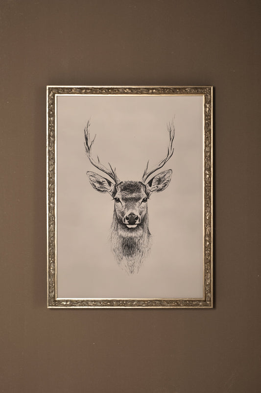 WILD SKETCH, VINTAGE SILVER FRAME