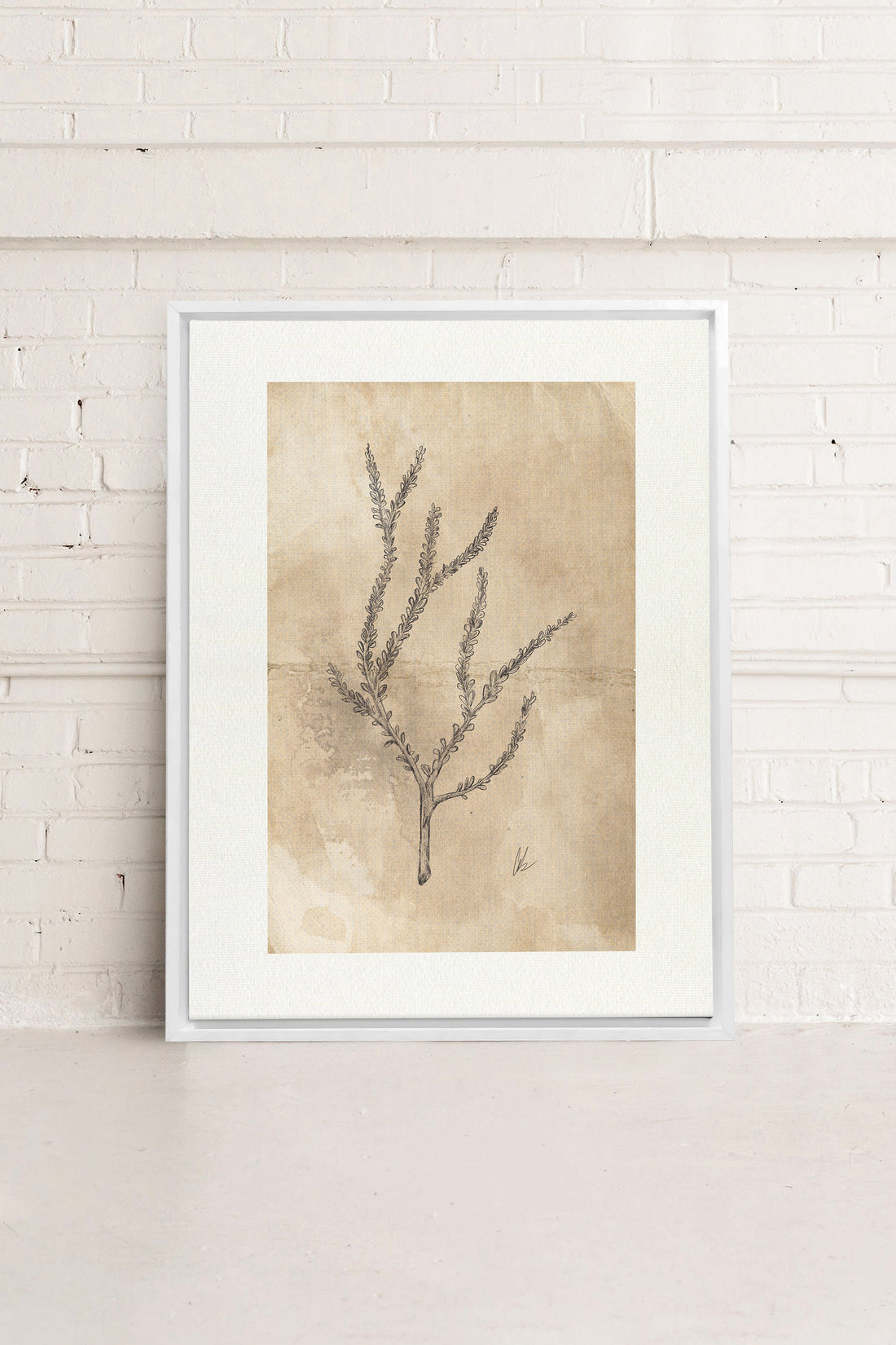 BLOOMING FLOWER I, Oeuvre sur toile étirée, encadré Blanc