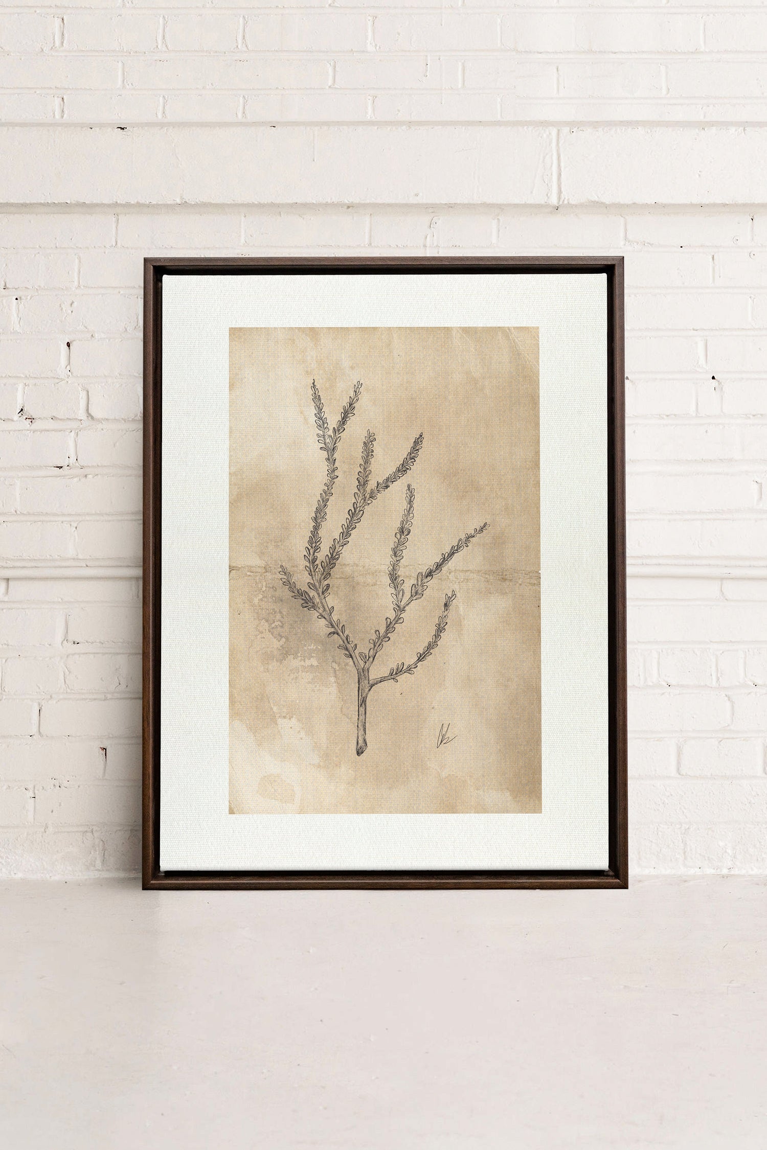 BLOOMING FLOWER I, Oeuvre sur toile étirée, encadré Brun Noyer