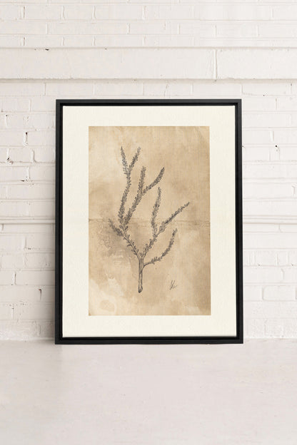 BLOOMING FLOWER I, Artwork on stretched canvas, framed in black