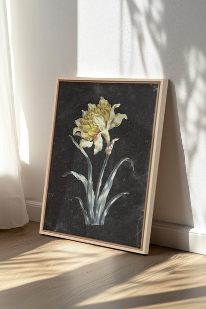 PRECIOUS FLORA, Oeuvre sur toile étirée, encadré Naturel Clair