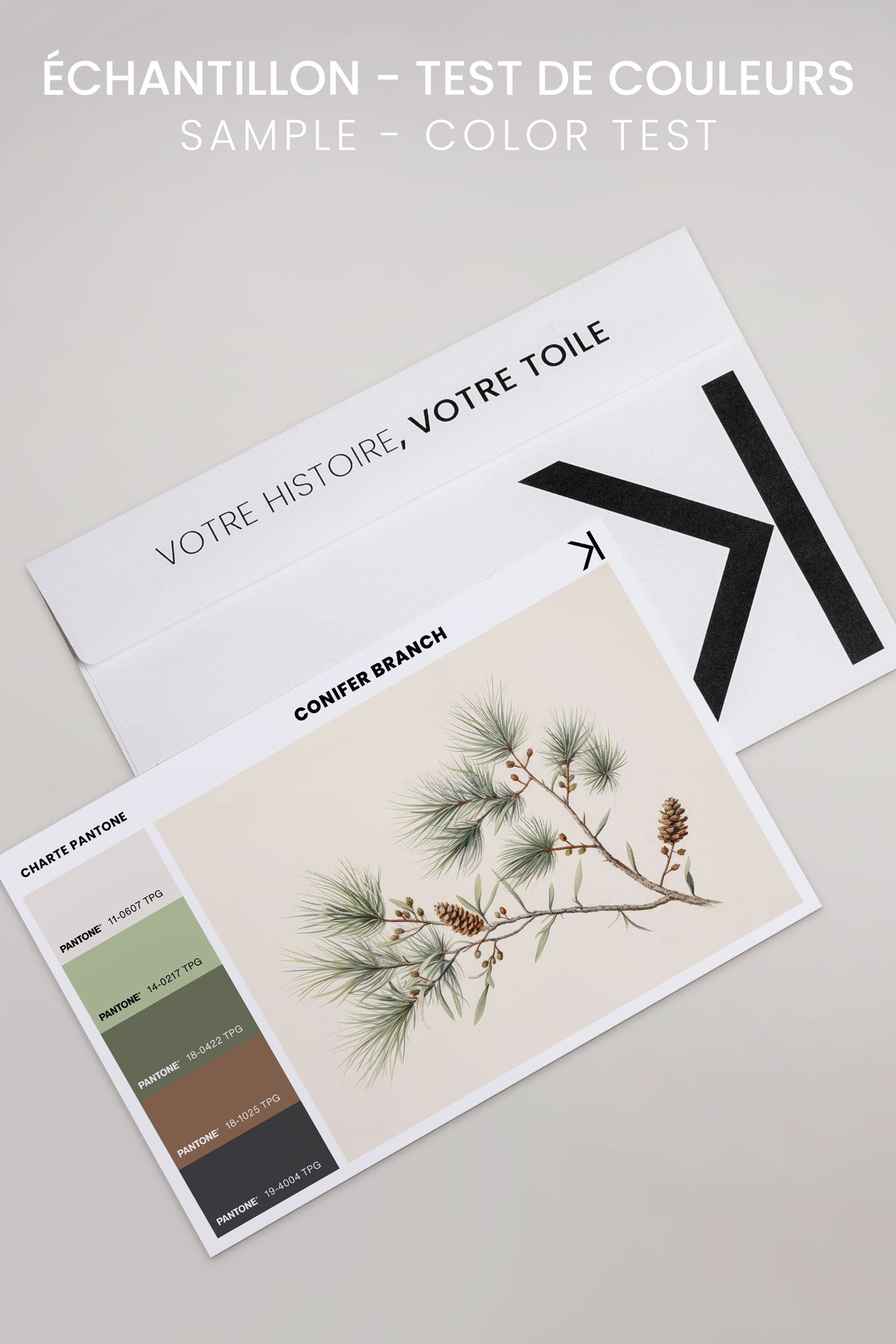OLEKA CANVAS - Conifer Branch, Oeuvre sur toile étirée, encadré Blanc