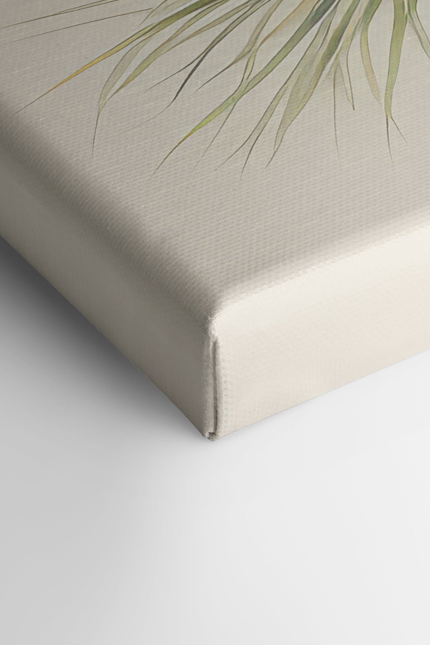 Conifer Branch, Work on stretched canvas