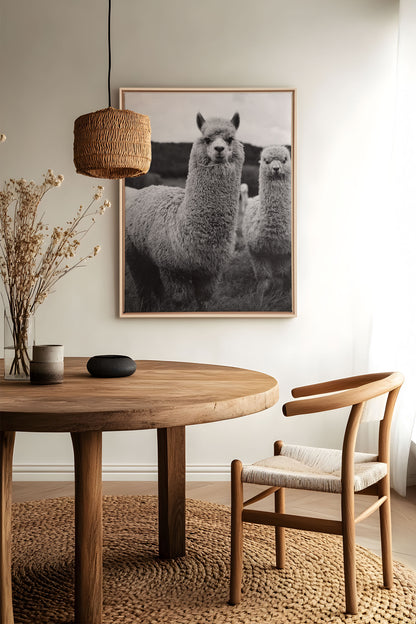 FLUFF AND GRACE, Oeuvre sur toile étiré