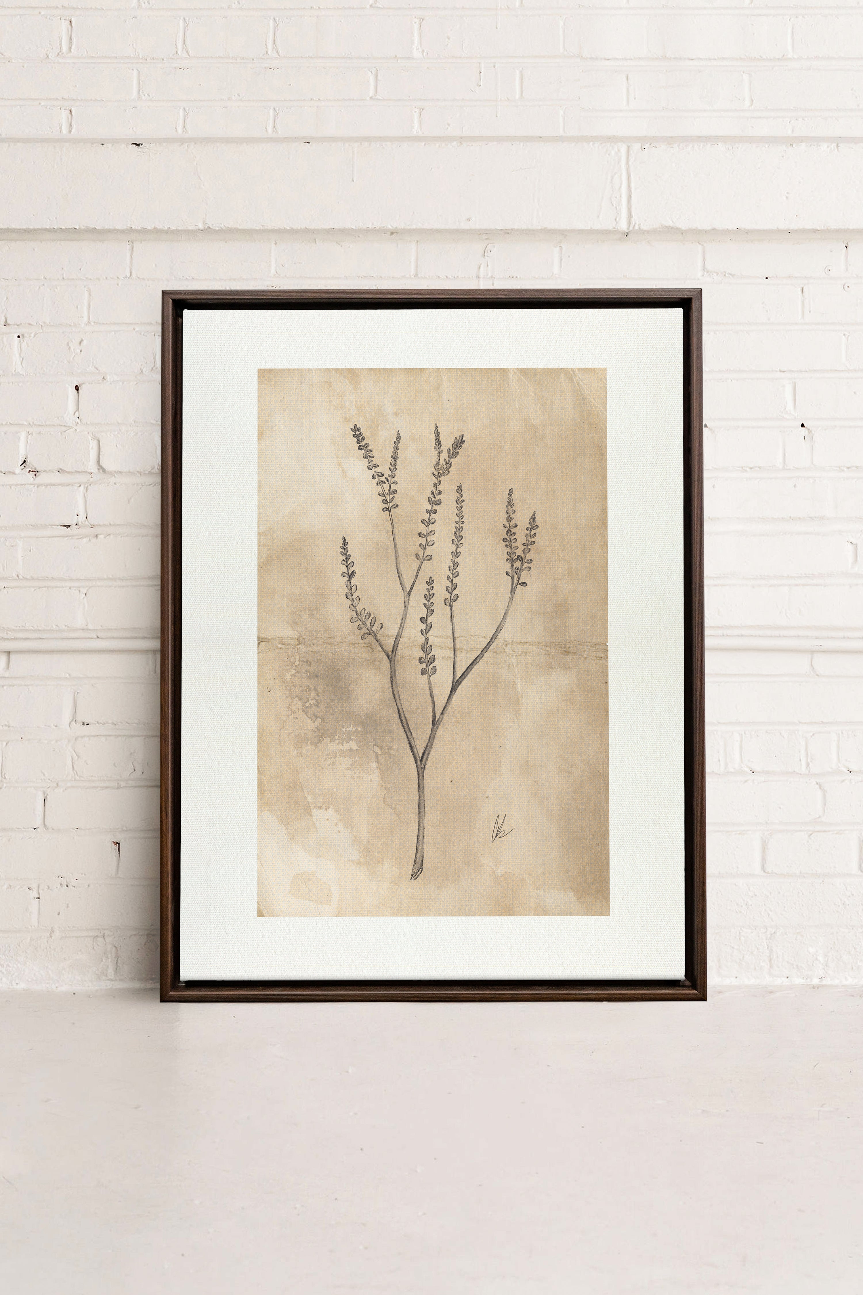 BLOOMING FLOWER II, Oeuvre sur toile étirée, encadré Brun Noyer