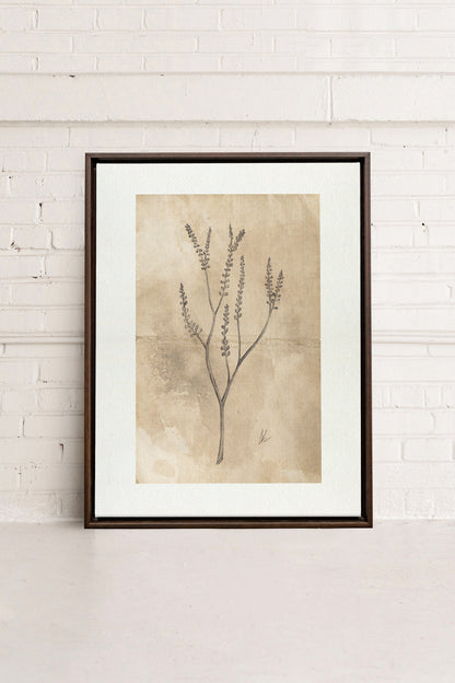 BLOOMING FLOWER II, Oeuvre sur toile étirée, encadré Brun Noyer