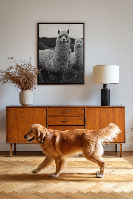 FLUFF AND GRACE, Oeuvre sur toile étiré