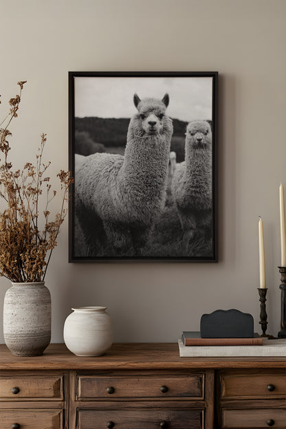 FLUFF AND GRACE, Oeuvre sur toile étiré