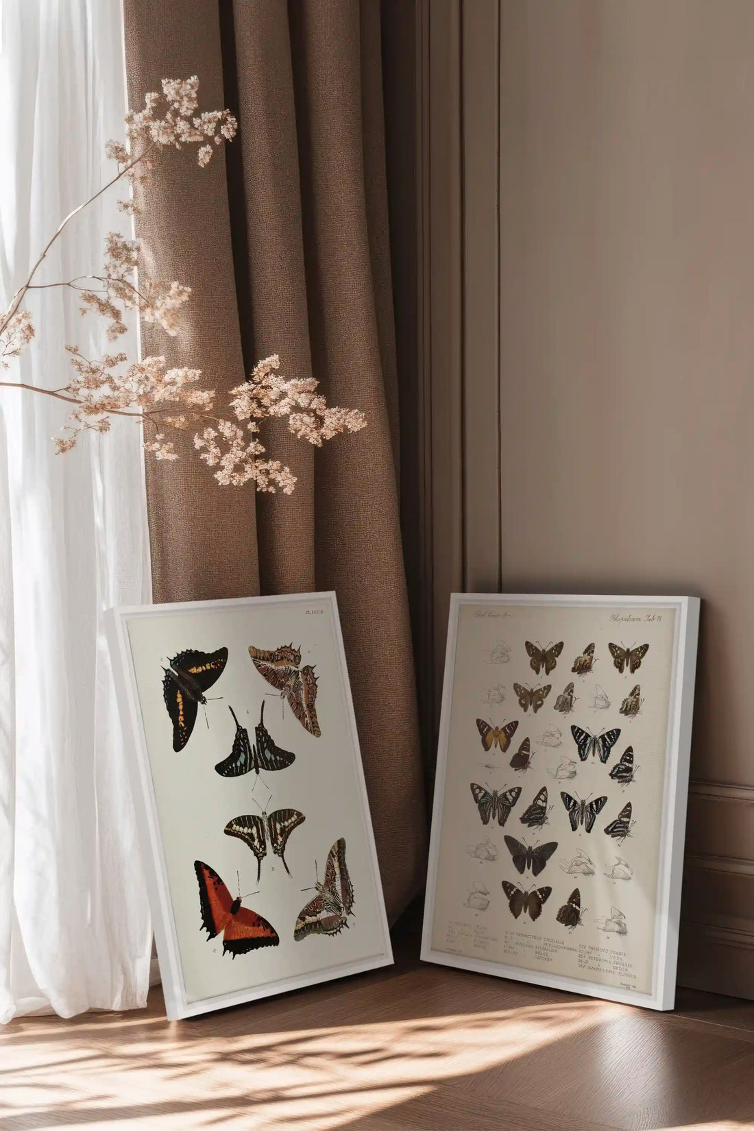 DUO TRÉSOR BOTANIQUE, 2 Oeuvres sur toile étirée, encadré Blanc