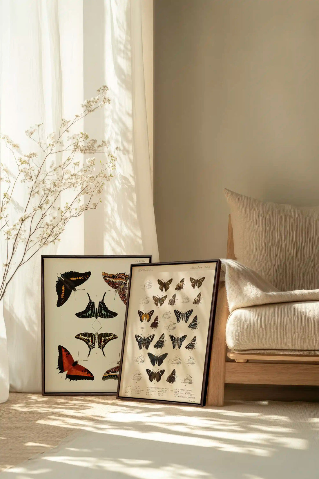 DUO TRÉSOR BOTANIQUE, 2 Oeuvres sur toile étirée, encadré Brun Noyer
