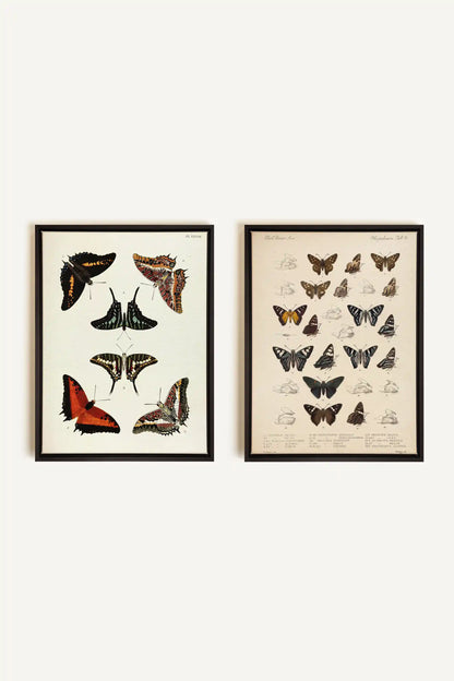 DUO TRÉSOR BOTANIQUE, 2 Works on stretched canvas, framed Black