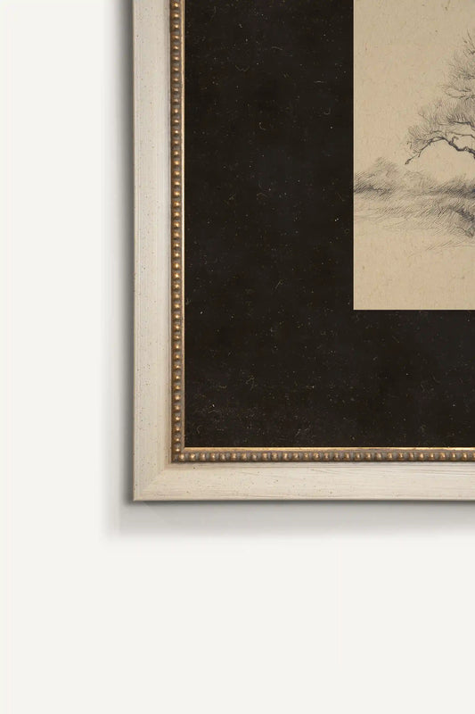 THE RESTING SWAN, Oeuvre sur toile rigide, encadré Vintage Blanc