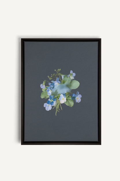 VIOLETTES MACULÉES, Oeuvre sur toile étirée, encadré Noir