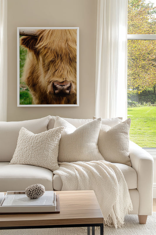 HIGHLAND CLOSE-UP, Oeuvre sur toile étiré