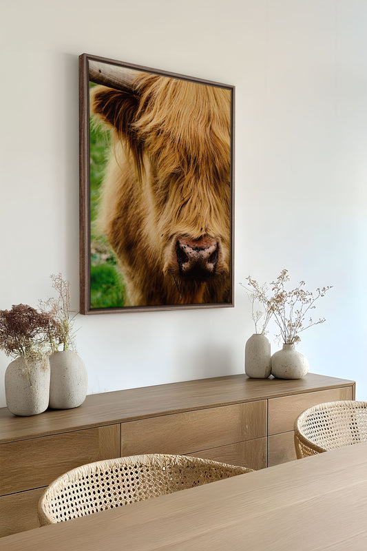HIGHLAND CLOSE-UP, Oeuvre sur toile étiré