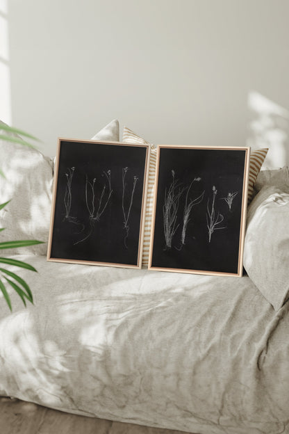 DUO ORIGINES SAUVAGES, 2 Oeuvres sur toile étirée, encadré Naturel Clair