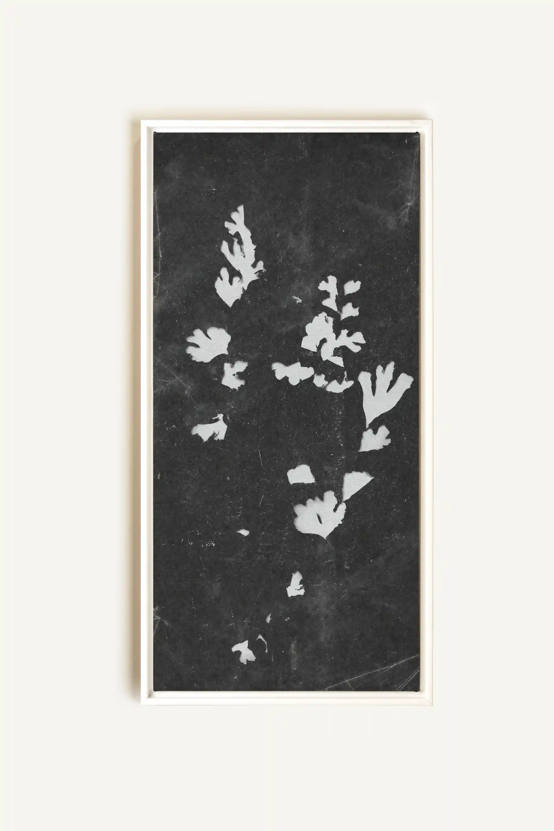 GHOST LEAVES, Oeuvre sur toile étirée, encadré Blanc