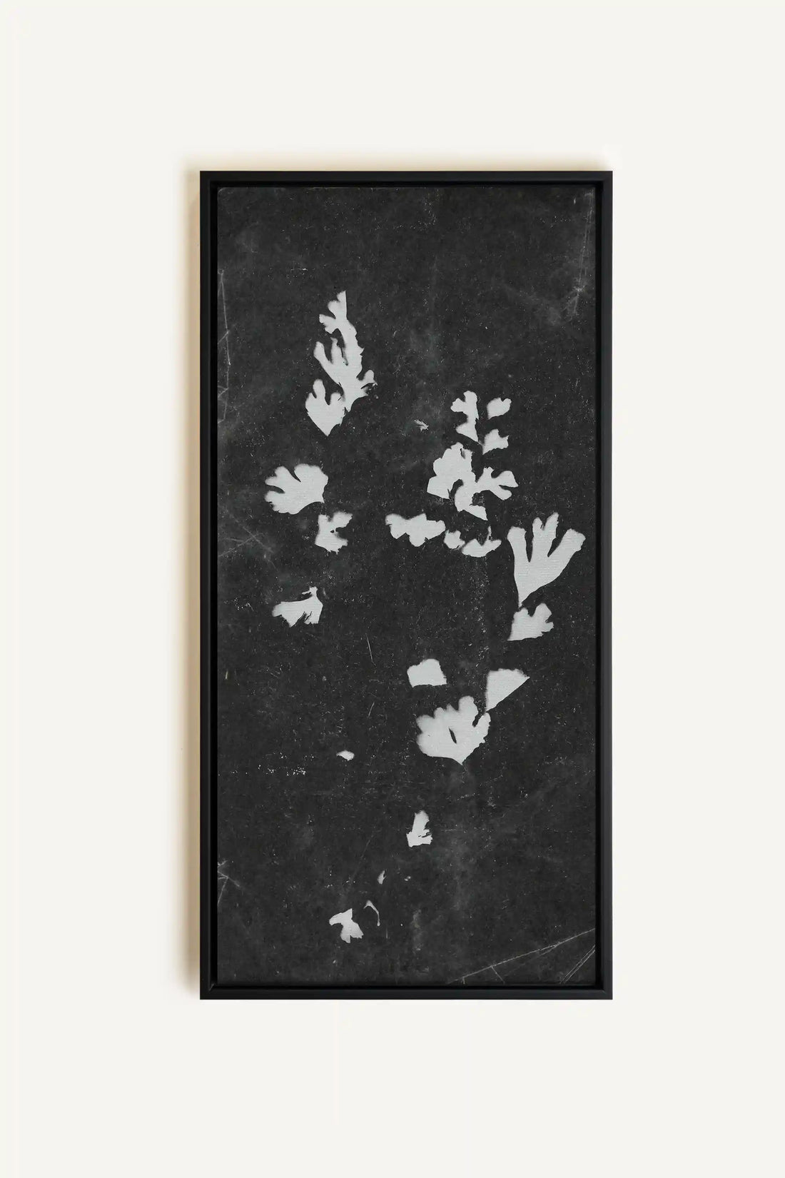 GHOST LEAVES, Oeuvre sur toile étirée, encadré Noir