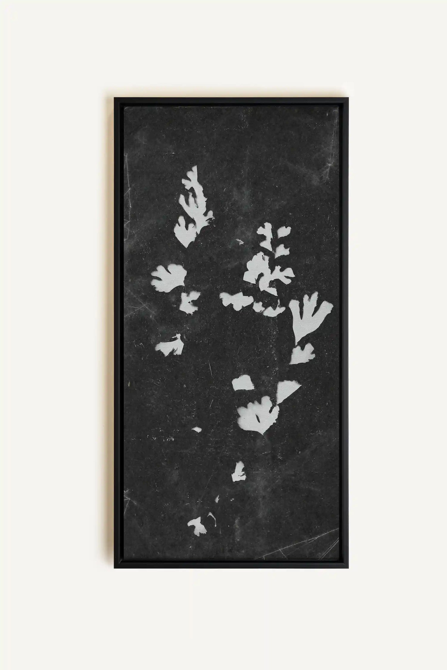 GHOST LEAVES, Oeuvre sur toile étirée, encadré Noir