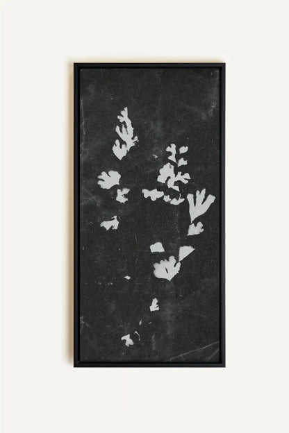 GHOST LEAVES, Oeuvre sur toile étirée, encadré Noir
