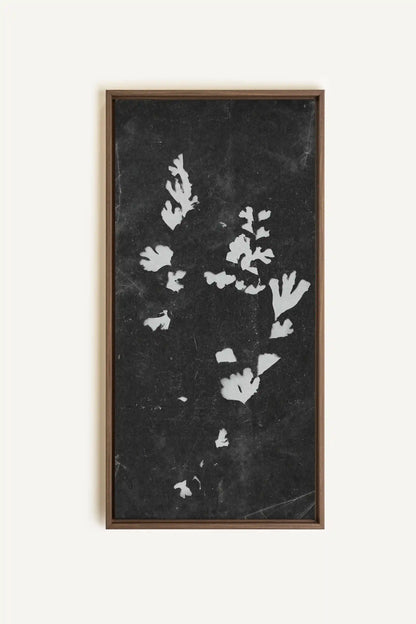 GHOST LEAVES, Oeuvre sur toile étirée, encadré Brun Chêne