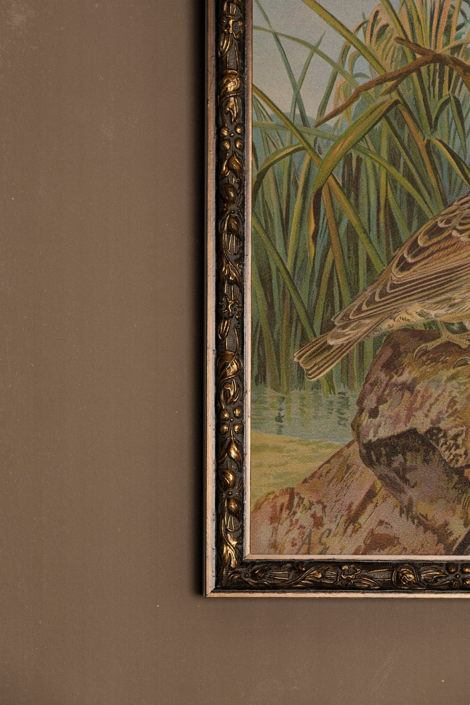 CHANT DES ROSEAUX, Oeuvre sur toile rigide, encadré Vintage Bronze