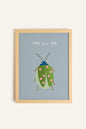 Coccinelle Douillette, Toile rigide encadrée