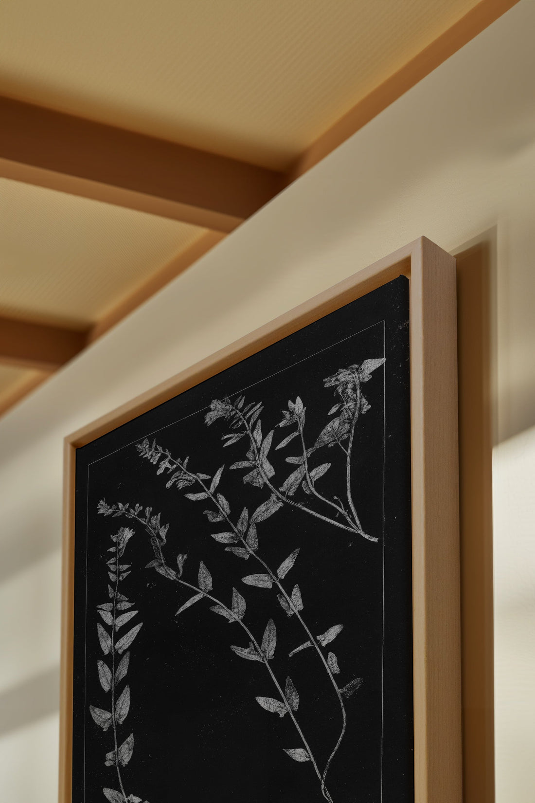 PRESSED MEMORIES, Work on stretched canvas, framed Naturel Clair