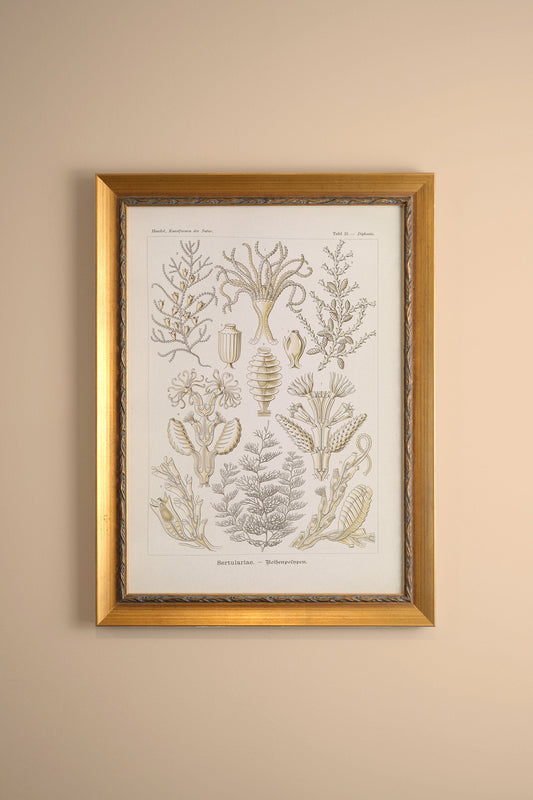 MARINE ESSENCE, VINTAGE GOLD FRAME