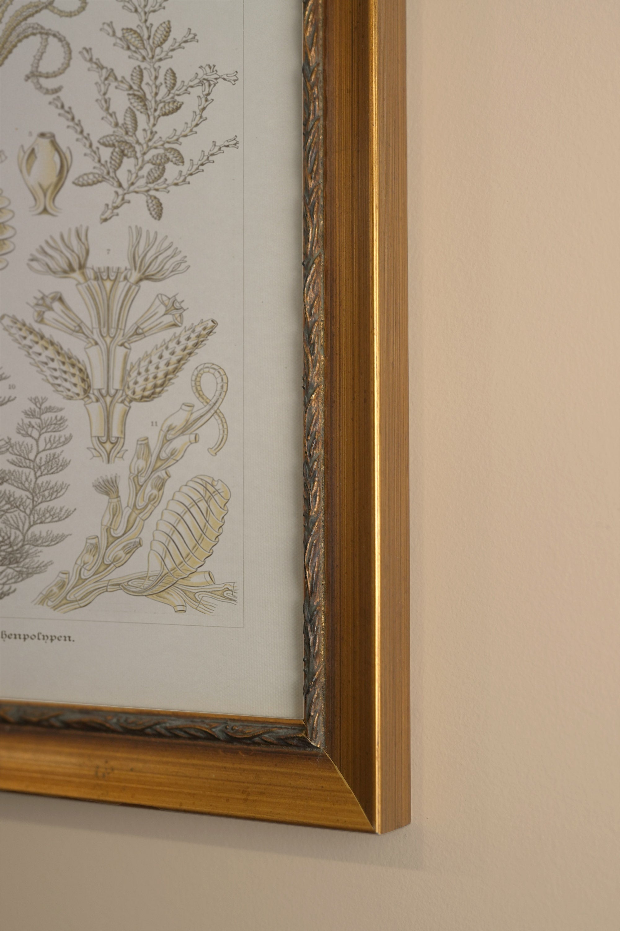 ESSENCE MARINE, Oeuvre sur toile rigide, encadré Vintage Or